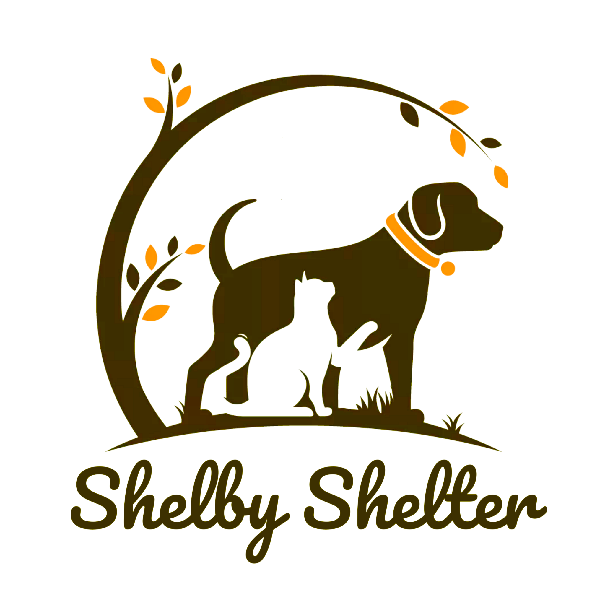 ShelbyShelter.org